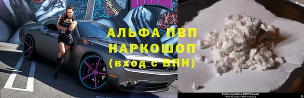 эйфоретик Осташков