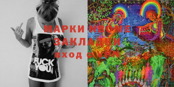 прущие грибы Осинники