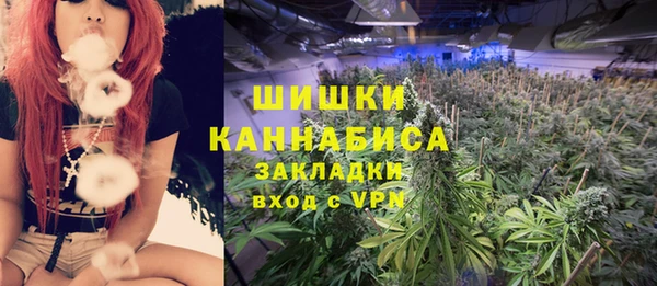 винт Няндома