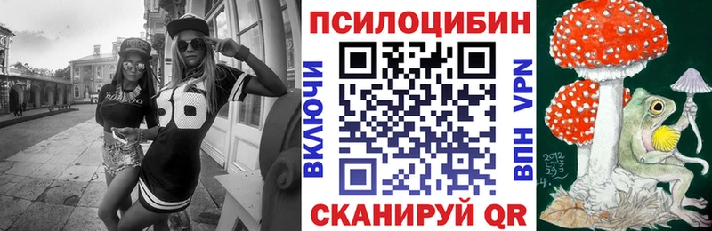 Купить  Североуральск  Псилоцибиновые грибы Psilocybine cubensis 