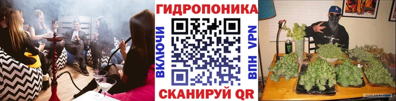 Купить закладки  Североуральск  Бошки Шишки LSD WEED 
